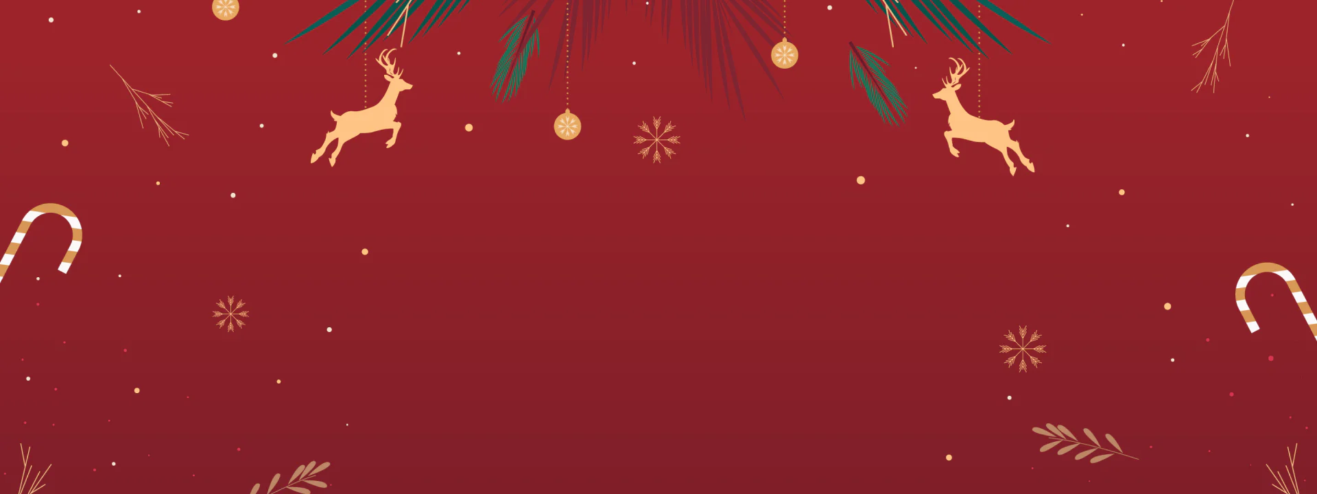 Winter Warmth for Every Cat